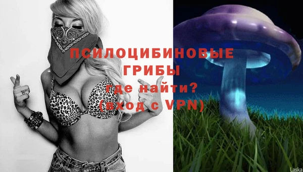 сатива Бугульма