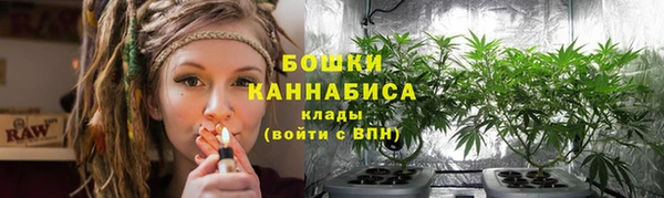 сатива Бугульма