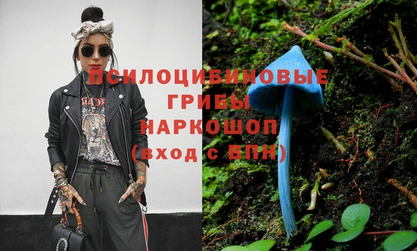 наркотики Бородино
