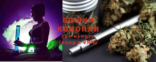 сатива Бугульма