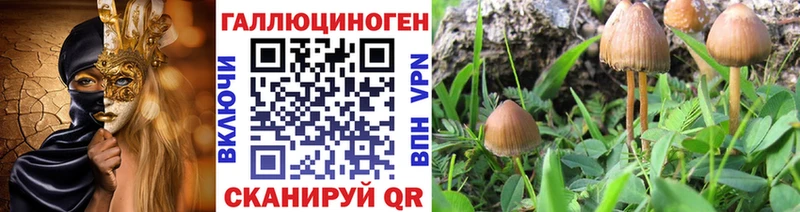 ссылка на мегу рабочий сайт  Высоковск  Галлюциногенные грибы Magic Shrooms 